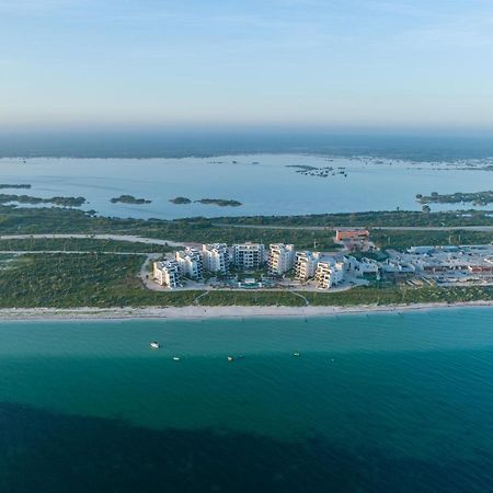 Playa, Selva, Cenotes, Ruinas, Marina Todo A 5 Km Daire Telchac Puerto Dış mekan fotoğraf